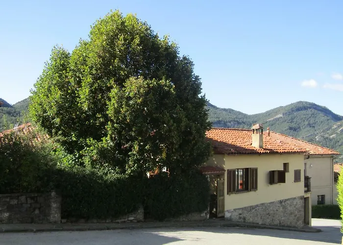El Jardinet